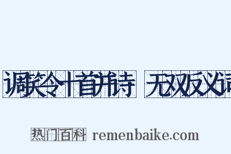 调笑令十首并诗·无双反义词是什么意思的图片